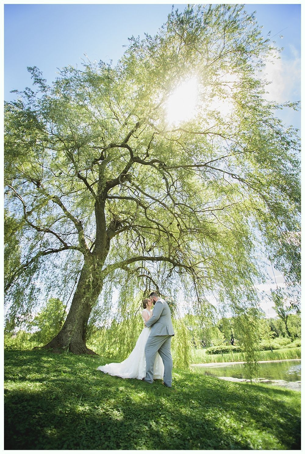 Couple embraces under a weeping willow tree in a sunny, green park.