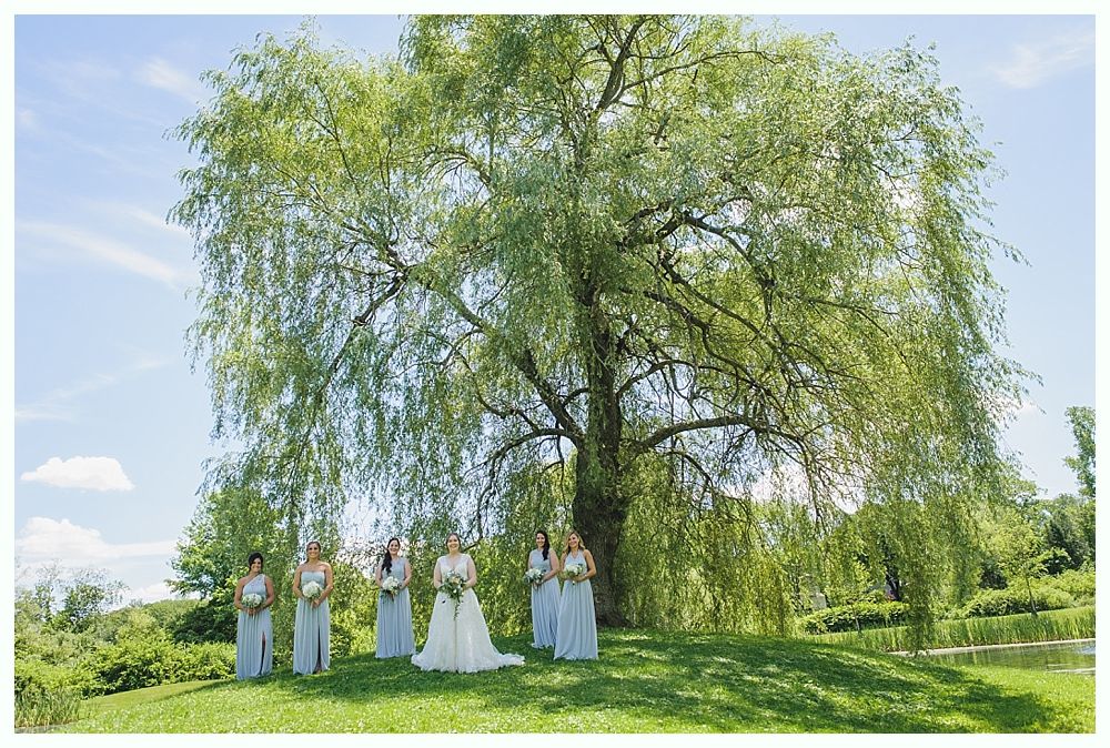 Bridesmaids and bride in light blue dresses stand under a large willow tree on a sunny day.