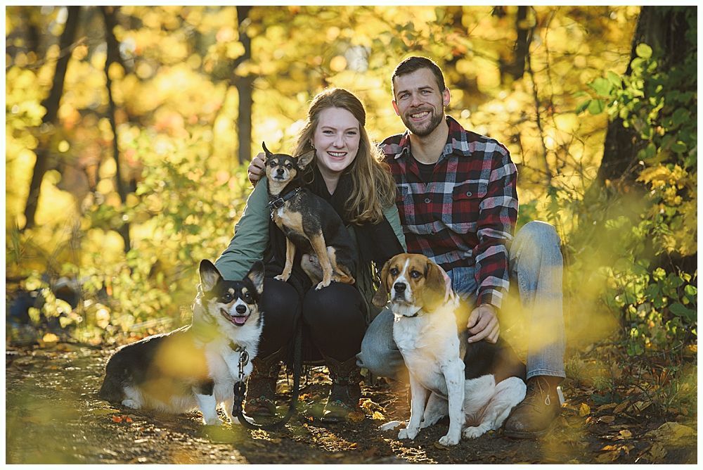Couple with three dogs posing in a park with autumn foliage.