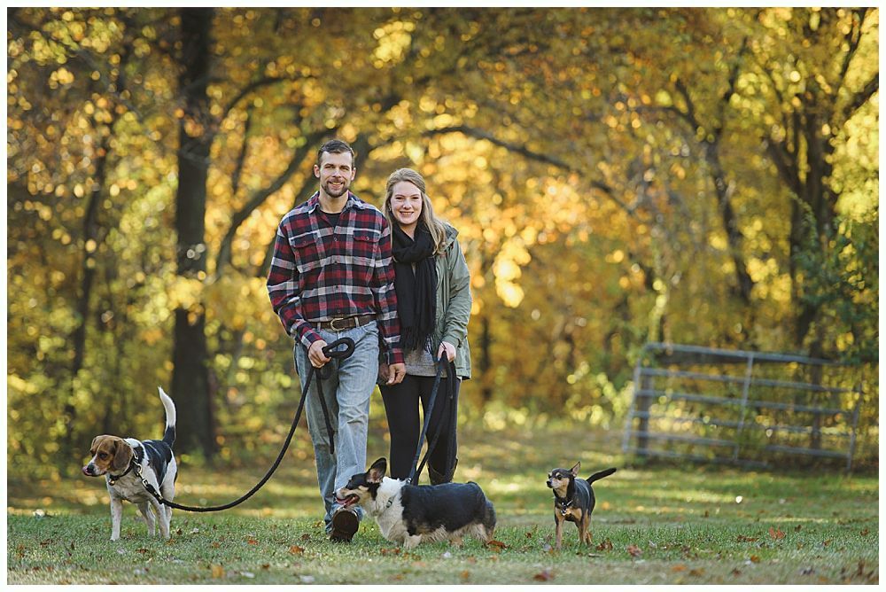 Couple walks three dogs in a park with autumn foliage. The man wears plaid, the woman an olive jacket.