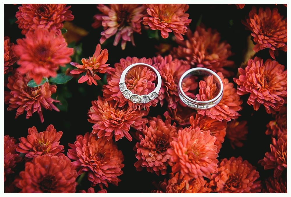 Two diamond wedding rings on red chrysanthemums.