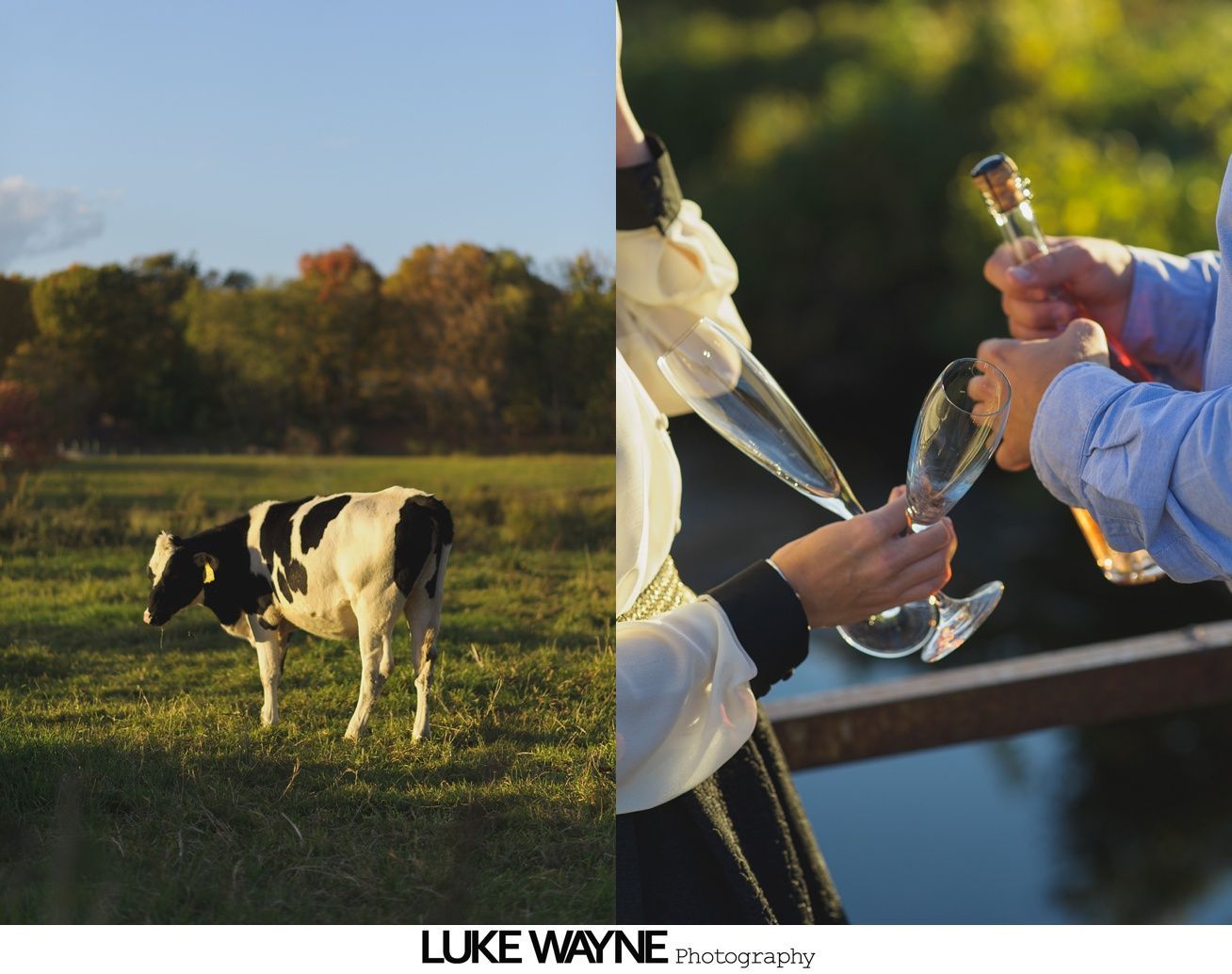 Couple walking and holding hands on a gravel path, laughing. Green grass and trees in background.