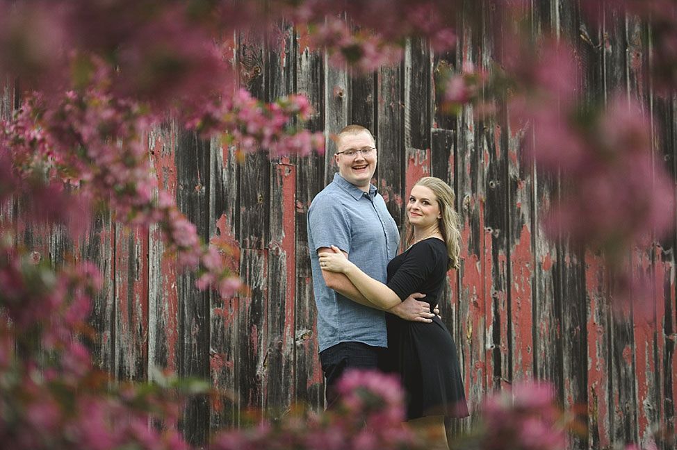 Couple embracing in front of a weathered red barn, framed by pink blossoms.