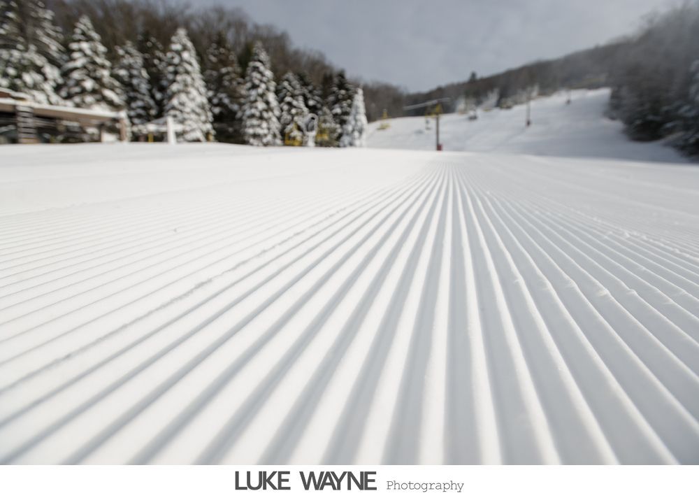 Woman wearing a hat with veil and feathers, in black and white.