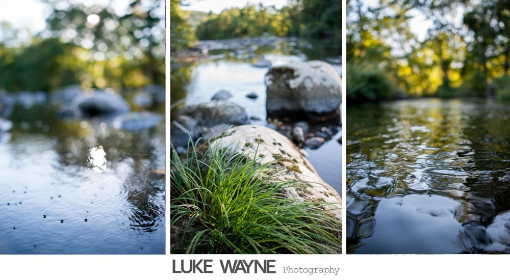 Wedding reception details: cake, flowers, wine, purple and white decor.