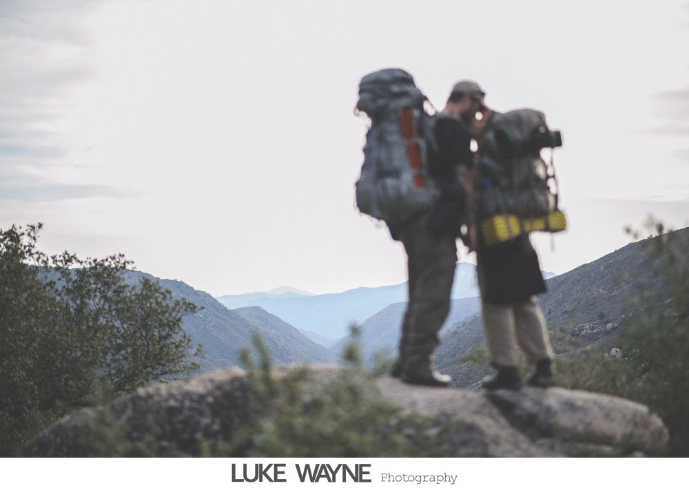 Wedding reception details: cake, flowers, wine, purple and white decor.