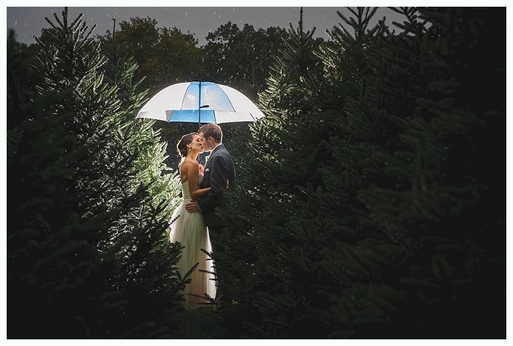 Couple kissing under an umbrella, surrounded by evergreens, rain falling.