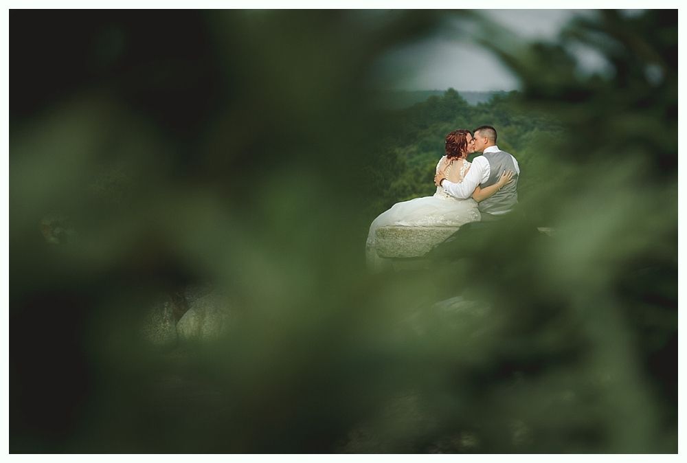 Diamond engagement ring on yellow flower in tall grass.