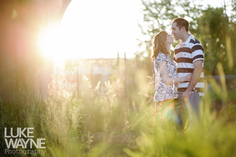 Couple kissing in a field, backlit by the sun. Warm light filters through tall grass.