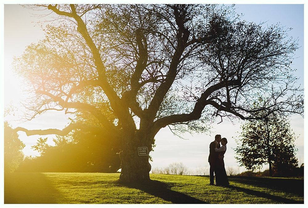 Couple kissing under a large tree, silhouetted against a setting sun on a grassy field.
