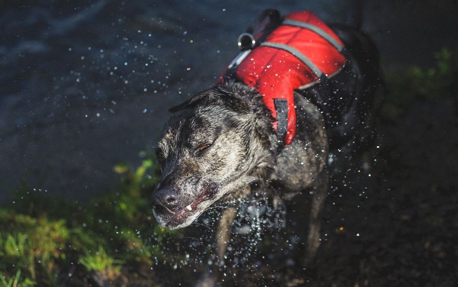 Wedding tables decorated with sunflowers, yellow boxes, and white linens.