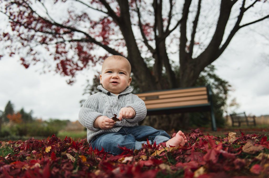 Baby sitting in red leaves, holding a leaf. Bench and tree in background.
