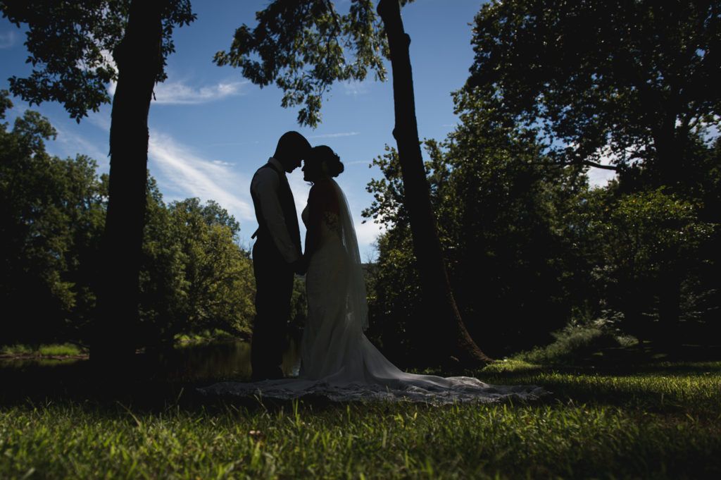 Silhouette of a couple holding hands in a park, trees and sky in the background.