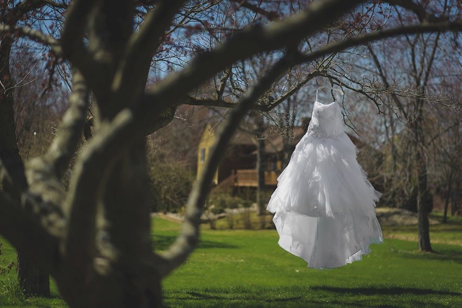 White wedding dress hanging from tree branch in a sunny garden.