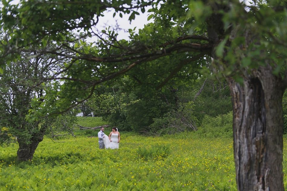 Couple in wedding attire stands in a green field with trees, daytime.