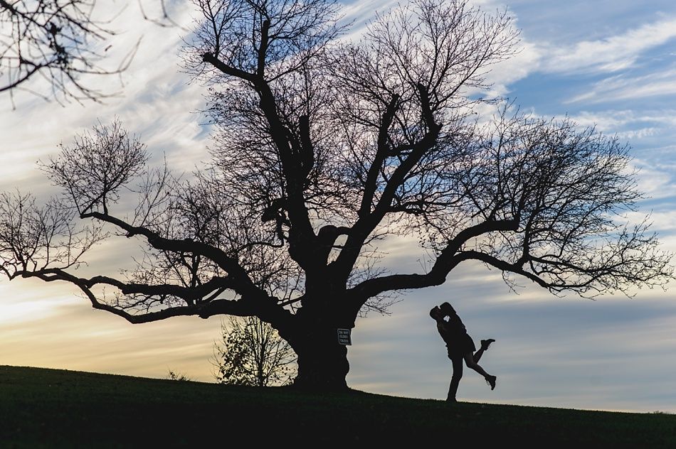 Silhouette of a couple kissing under a large tree against a cloudy sky.