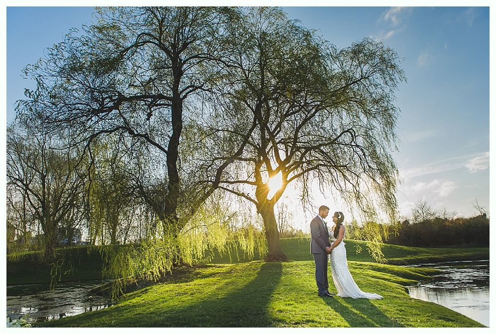 Couple embracing under a weeping willow tree as the sun sets, casting long shadows.