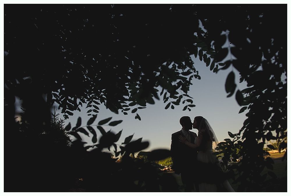 Silhouetted couple kissing under tree with leaves, at dusk.