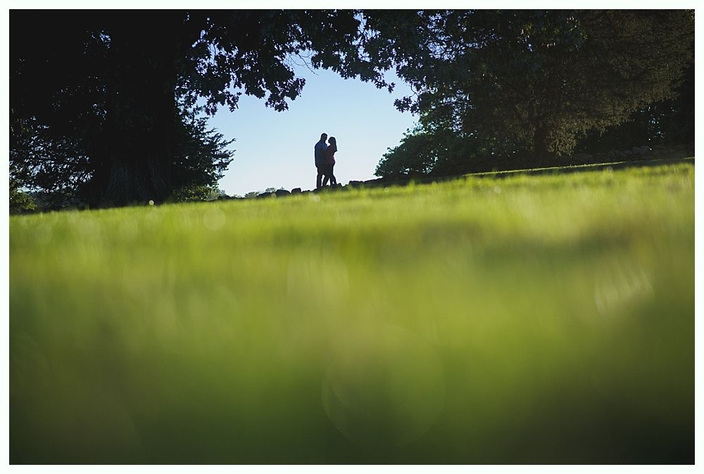 Couple silhouetted on a grassy hill, framed by trees against a blue sky.