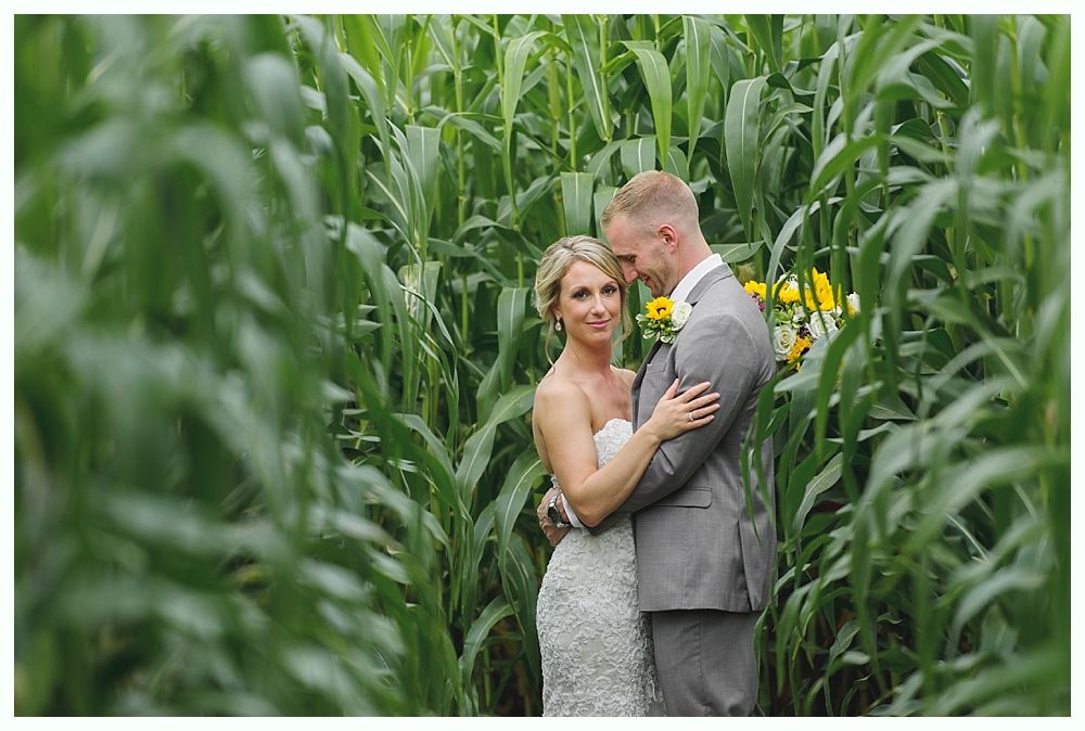 Wedding couple embracing in a tall cornfield; bride in white gown, groom in gray suit.