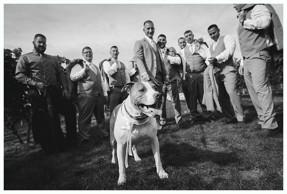 Men in suits and a dog standing in a field. Group portrait, dog in the foreground, men behind.