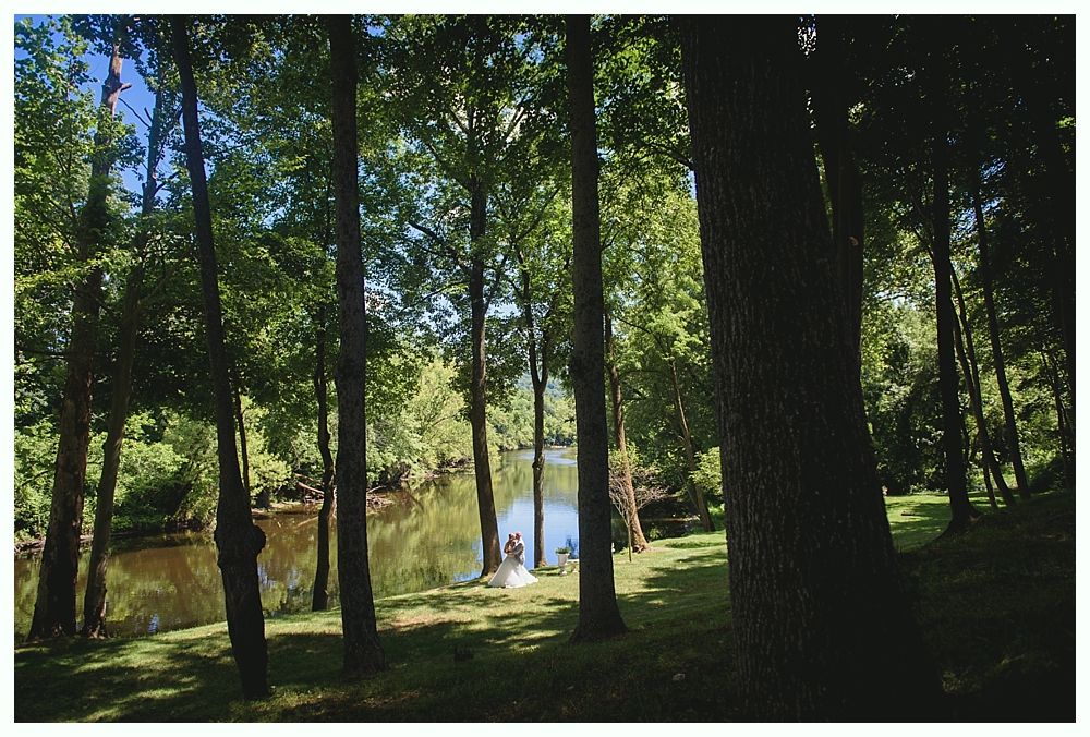 Lush green forest with tall trees lining a riverbank under a bright blue sky. Sunlight filters through the leaves.