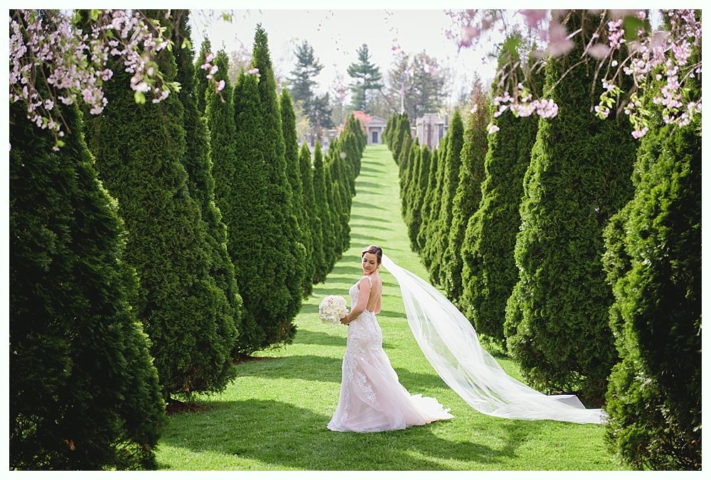 Bride in a white dress with long veil, holding bouquet, standing on a grassy path lined with tall, green trees.