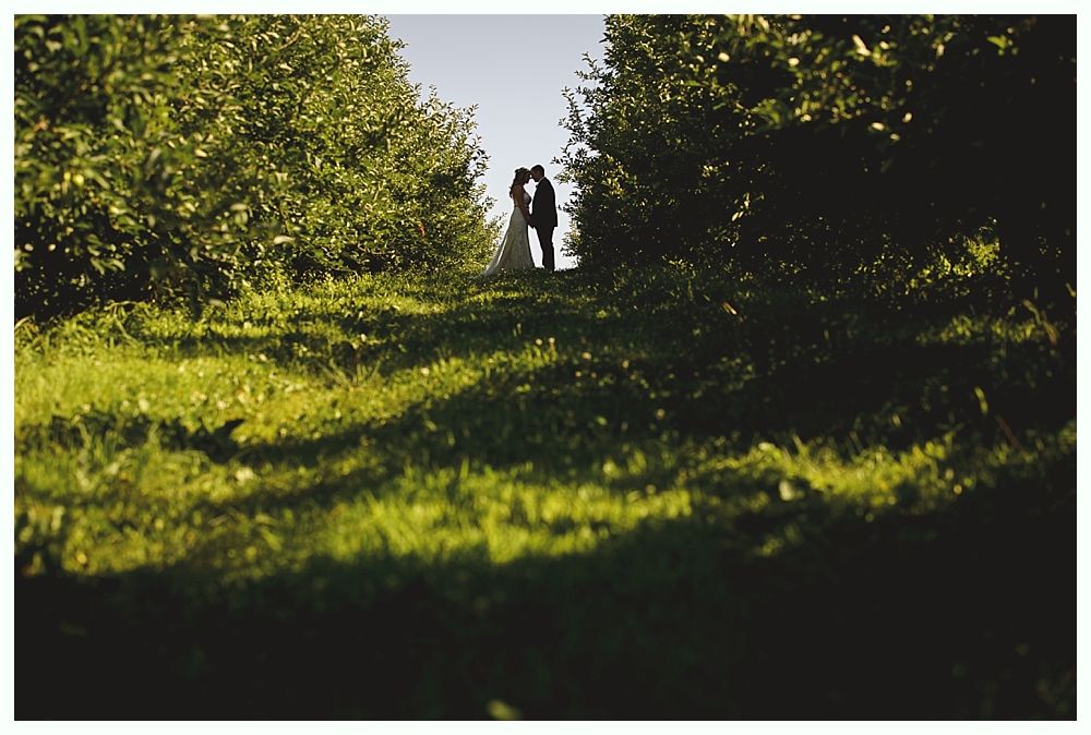 Couple kissing, silhouetted at the end of a grassy path, surrounded by trees, bright sunlight.