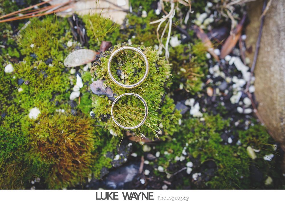 Two gold wedding rings rest on a bed of green moss.