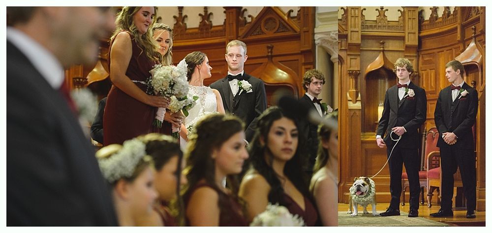 Wedding ceremony with bride, groom, and wedding party; a dog is also present.
