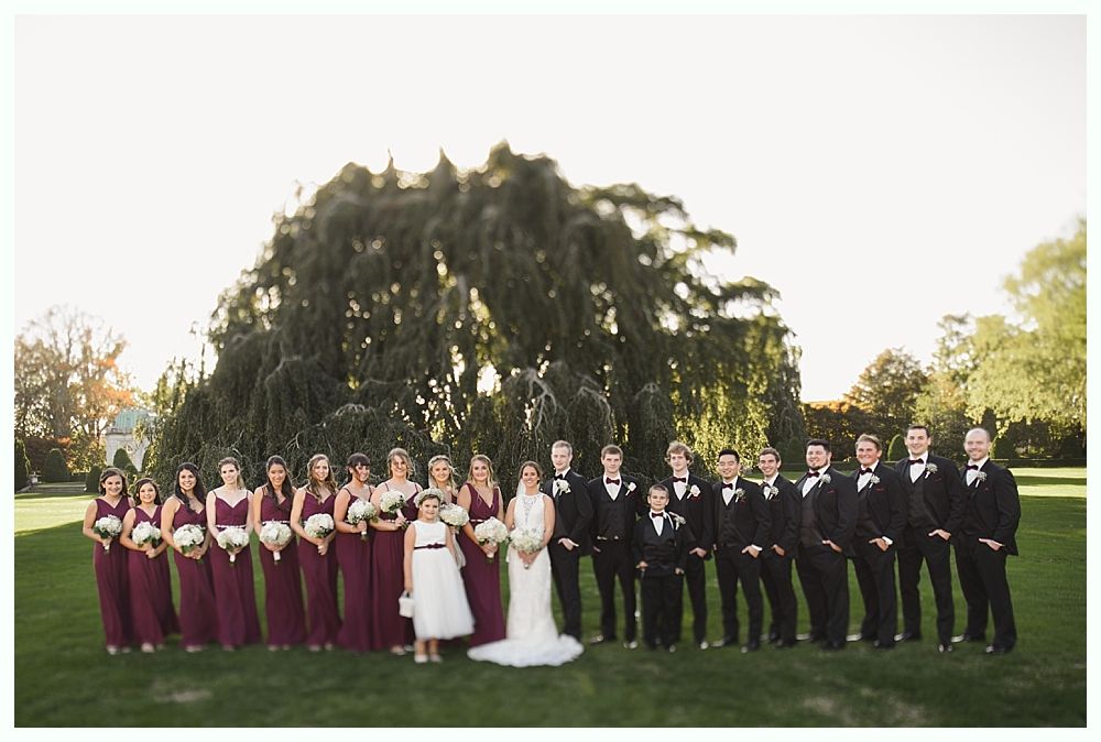 Wedding party stands in front of a weeping tree, women in burgundy dresses, men in black tuxedos.