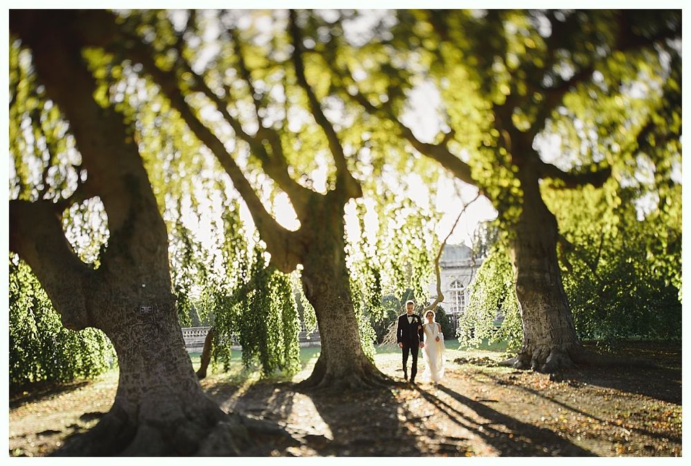 Couple walking under willow trees, sunlight streaming through branches.