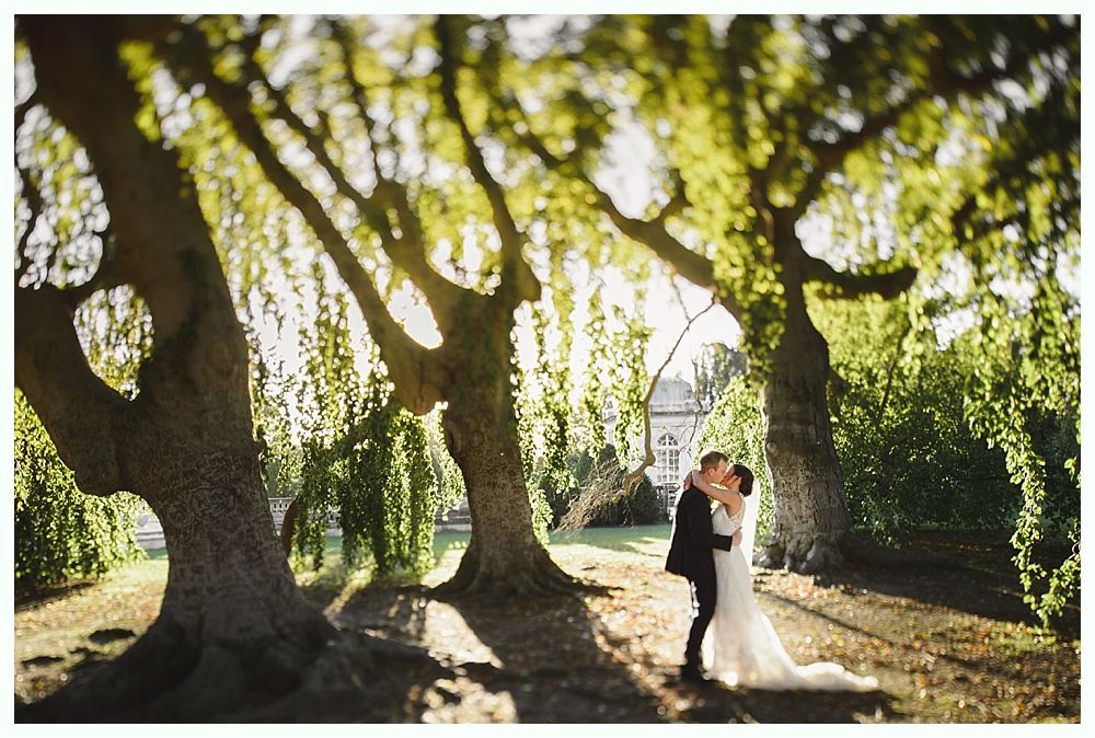 Couple kissing under trees in a sunlit garden, bride in white dress and groom in suit.