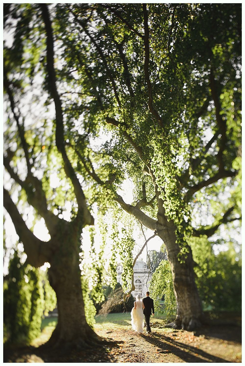 Couple walks hand-in-hand beneath sunlit trees, towards a building.