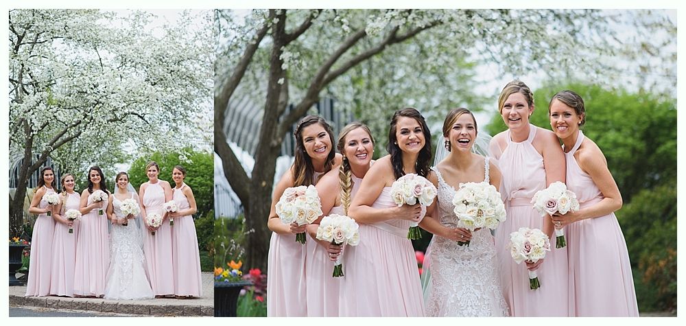 Bridesmaids in pink dresses and bride in white, holding bouquets, under flowering tree, smiling outdoors.
