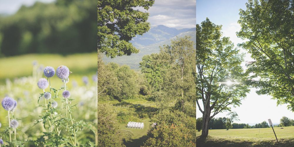 Wedding rings on a leaf, yellow shoes on stairs, and a dress hanging from a tree.