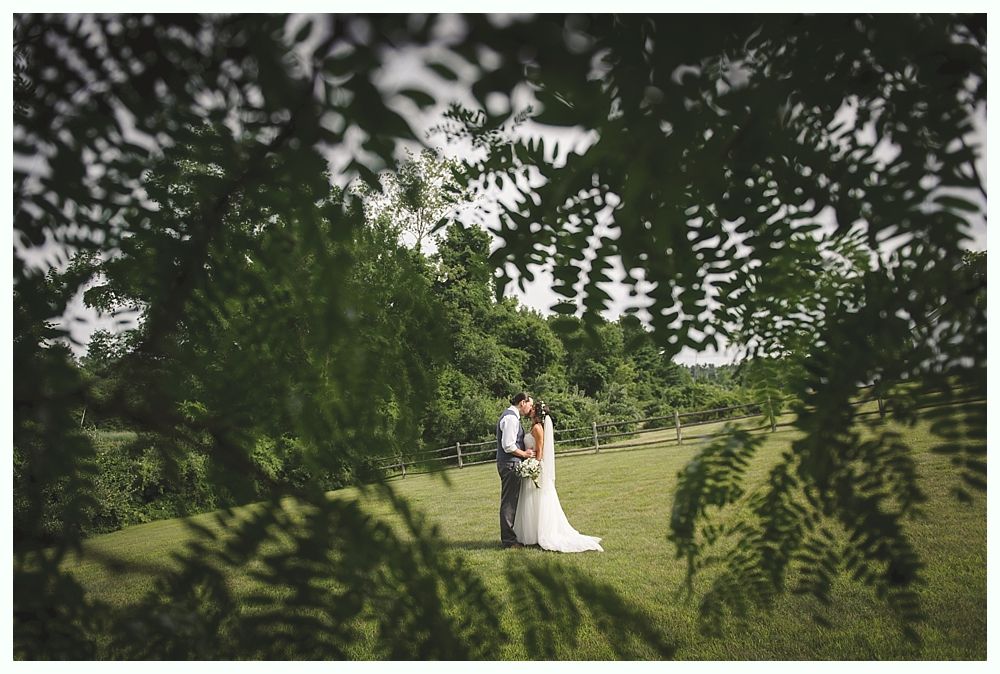 Couple kissing in a grassy field, framed by ferns. Bright, sunny day.