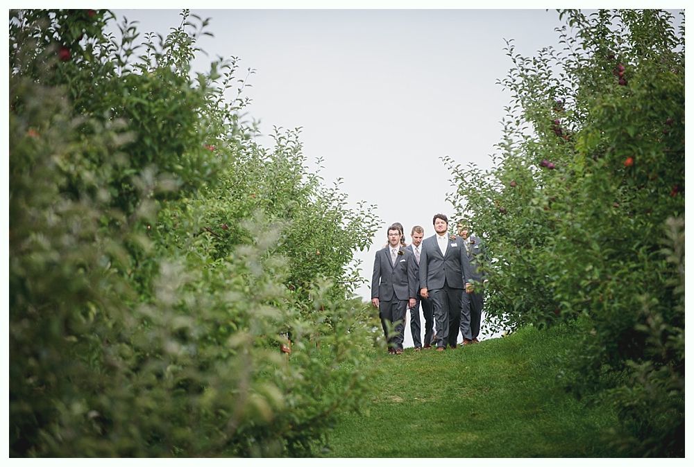 Groomsmen in gray suits walking on a grassy hill, surrounded by apple trees with red fruit. Overcast sky.