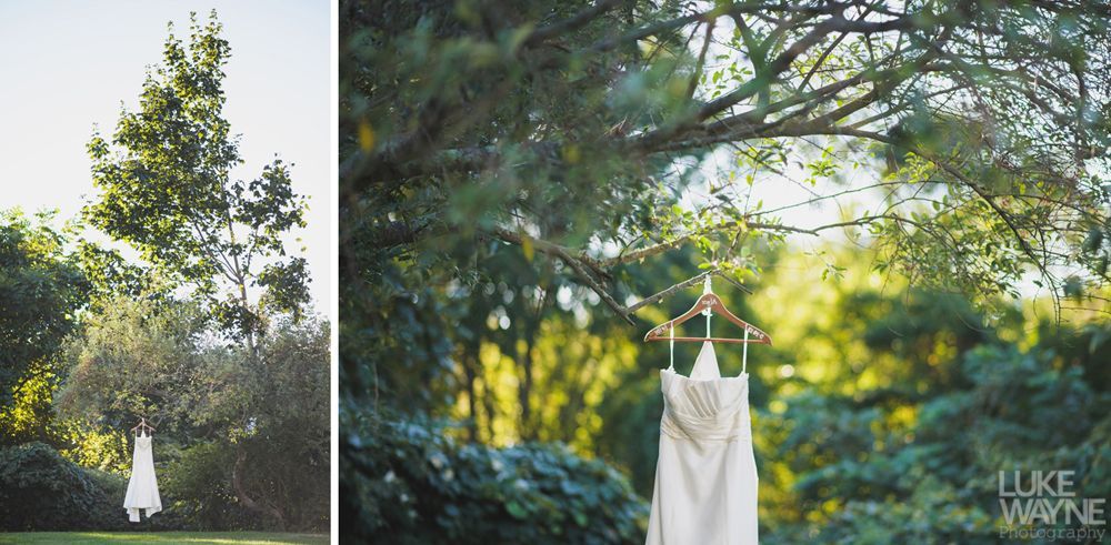 Wedding dress hanging from a tree branch in a garden.