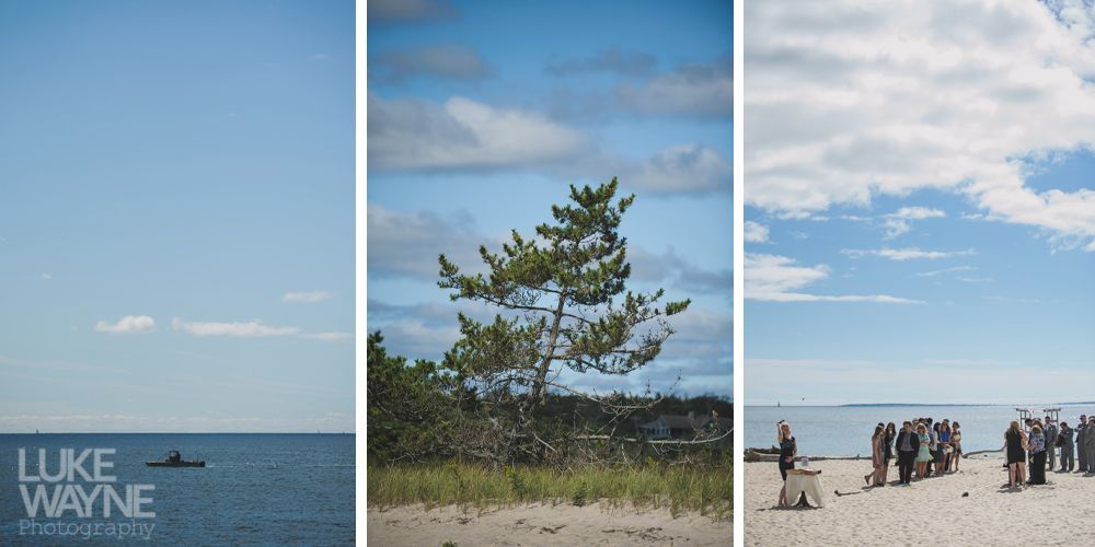 Three beach scenes: kayaker on the ocean, tree on sandy shore, and wedding ceremony on the beach.