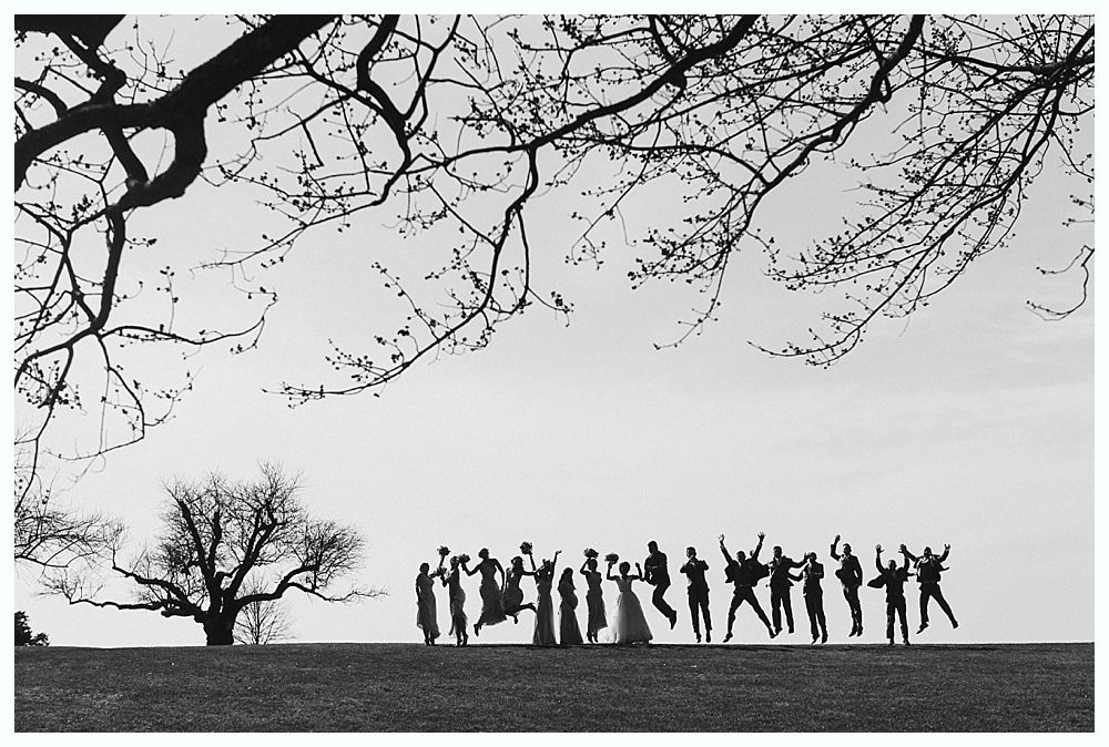 Group of silhouetted people jumping on a hill under a tree with bare branches. Sky in the background.