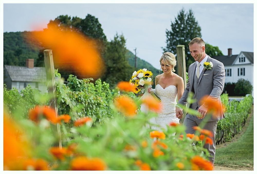 Bride and groom kissing in a field, then walking in front of a building. Sunny day.