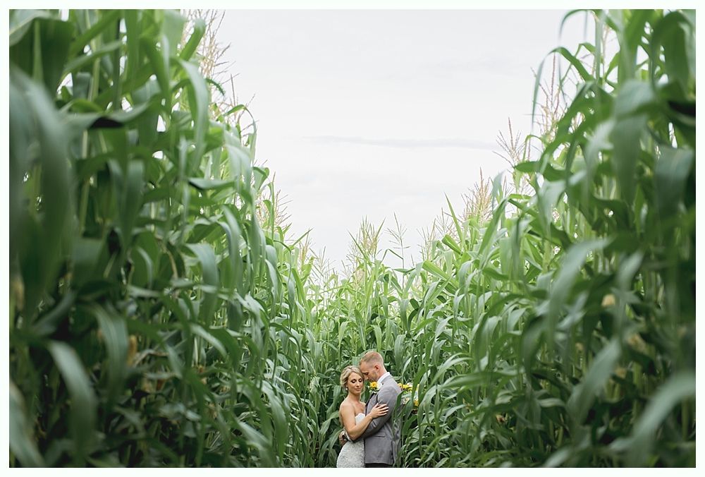 A couple embraces under a veil on a sunny day. The man kisses the woman's forehead as she smiles.
