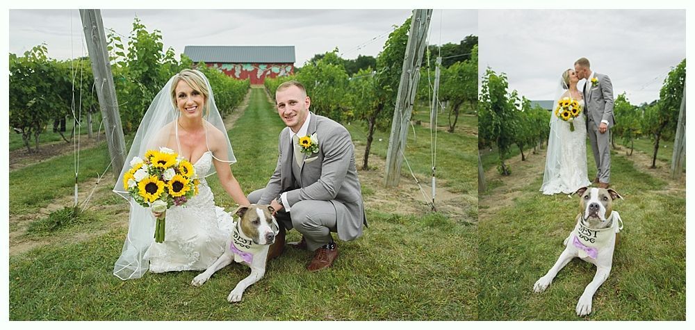Newlyweds walk into reception, arms outstretched, smiling. Guests clap. Ballroom with chandelier.