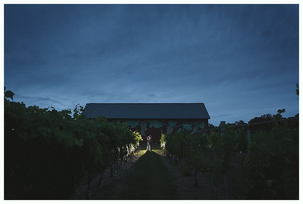 Group of people, including a bride and groom, celebrating at a party with drinks and smiles.