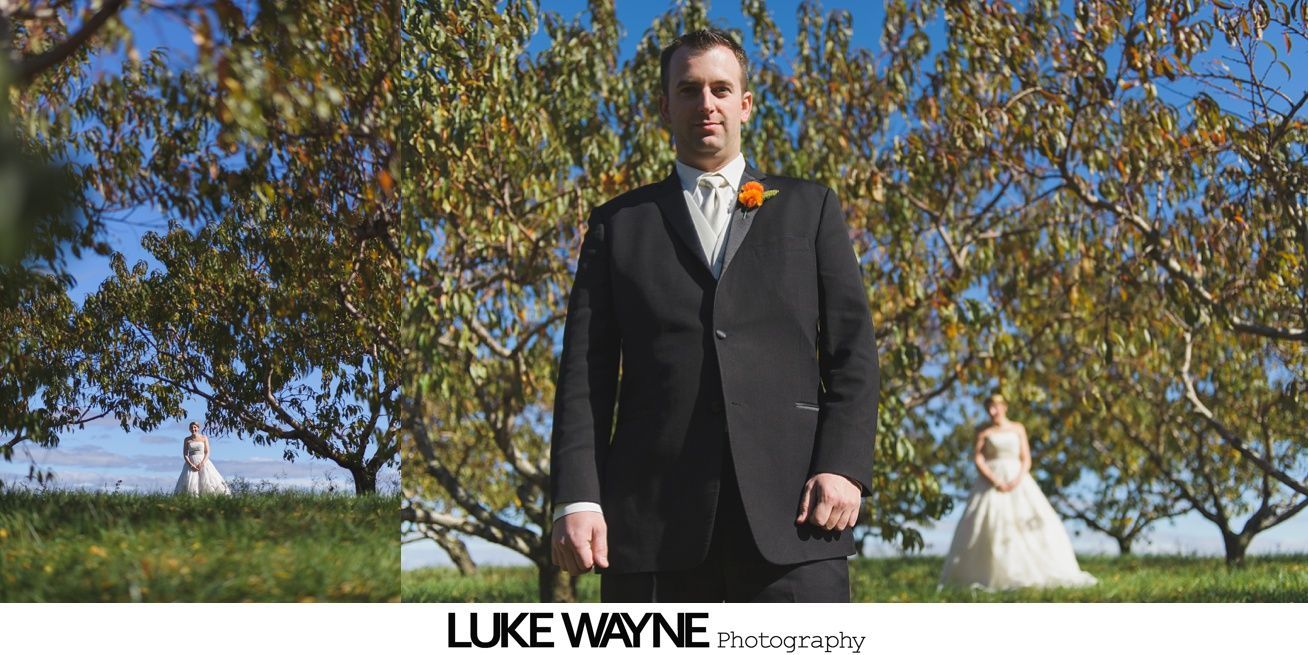 Groom in a suit stands between two brides in dresses in a field with trees, under a blue sky.