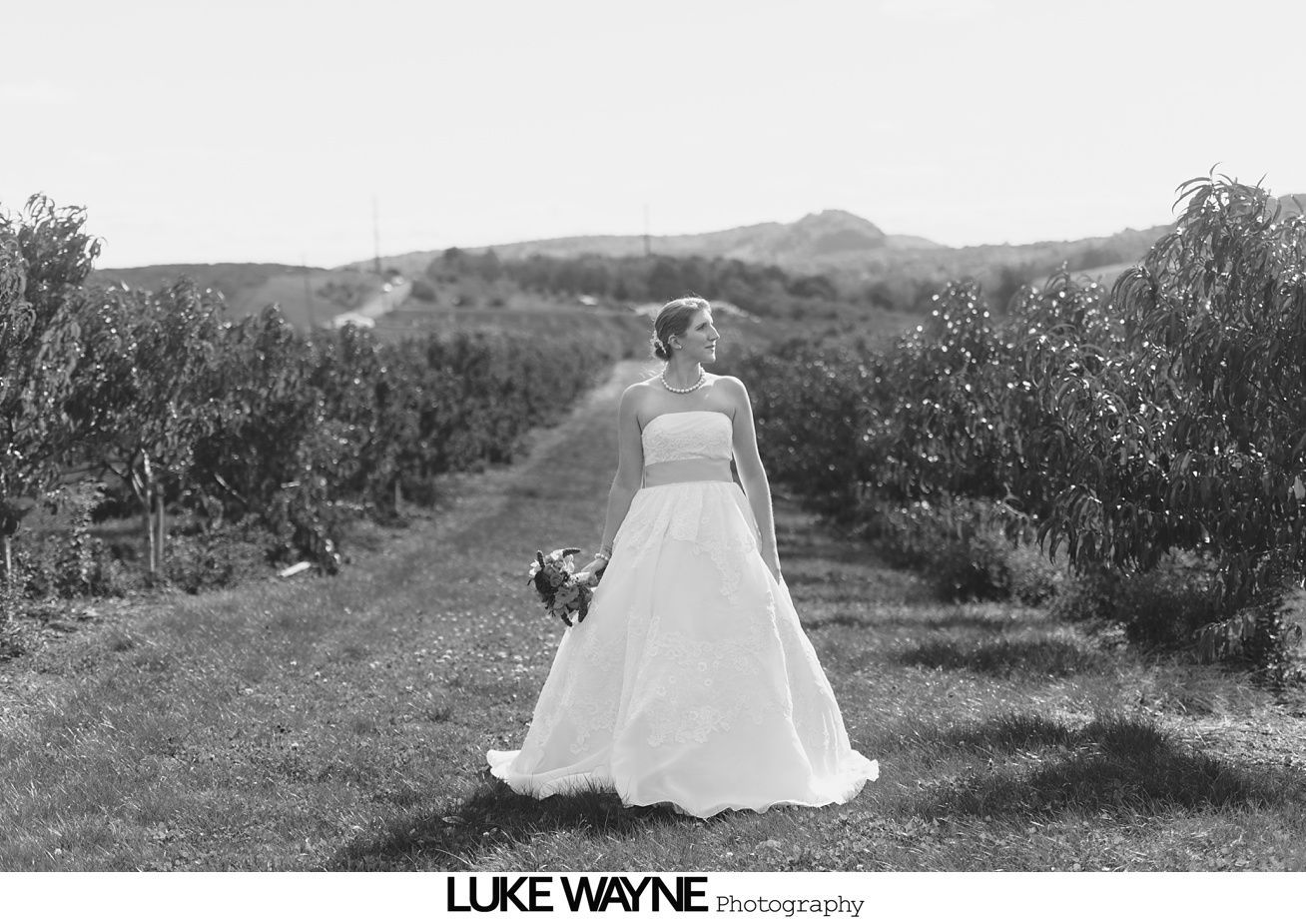 Bride in a strapless gown stands in an orchard, holding a bouquet. Black and white.