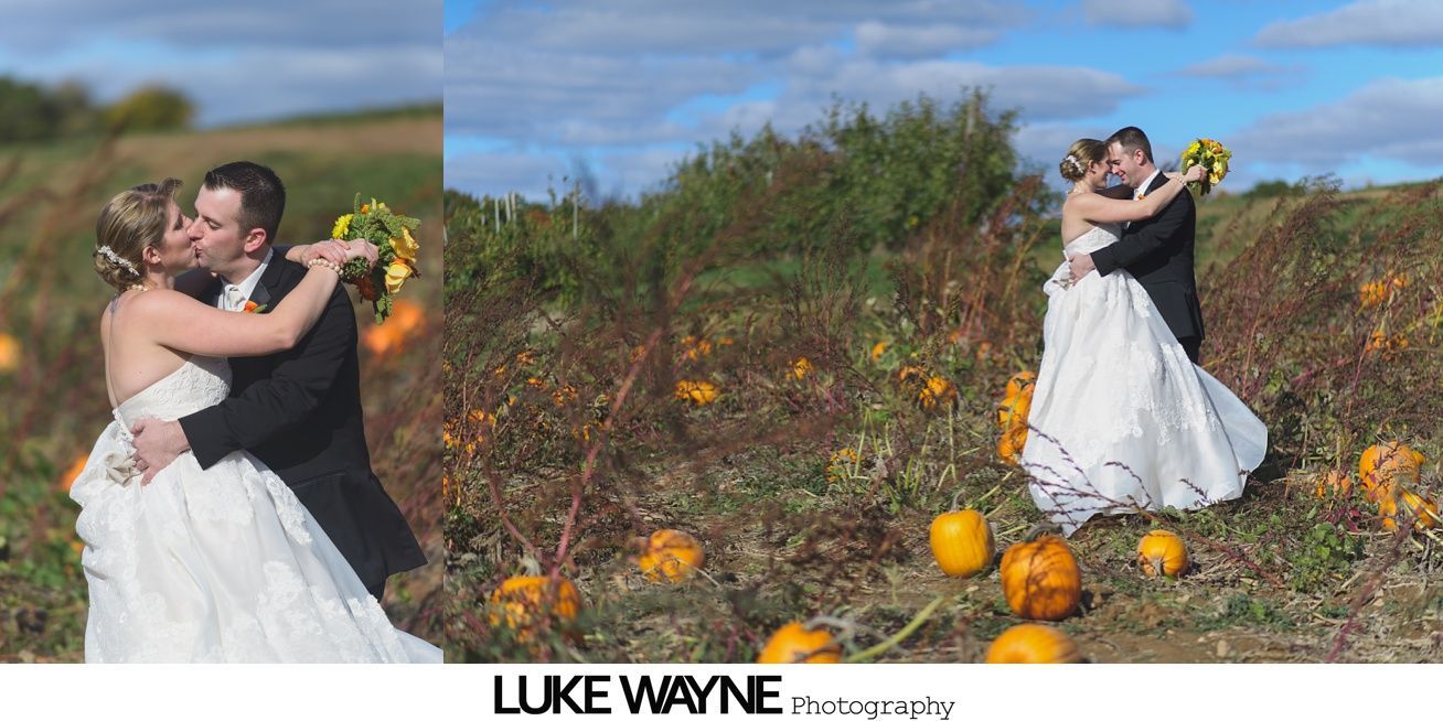 Newlyweds embrace in a pumpkin patch with a blue sky background. The bride wears a white dress, the groom a black suit.