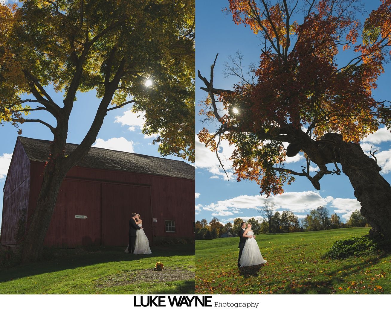 Couple in wedding attire posing under trees near a red barn. Autumn leaves, sunny sky, green grass.