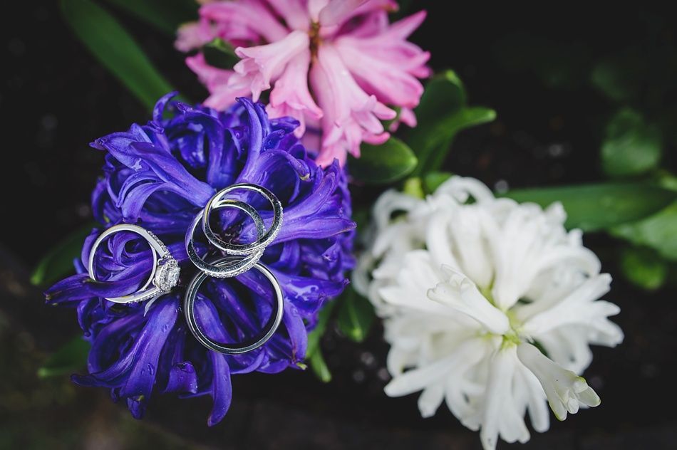 Wedding rings on purple, pink, and white hyacinth flowers with green leaves in a dark setting.
